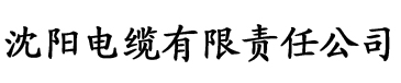 射狠狠电缆厂logo